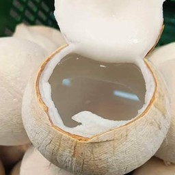 มะพร้าวเผา