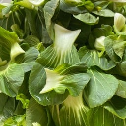 กวางตุ้งฮ่องเต้