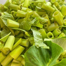 ผักบุ้งไทย