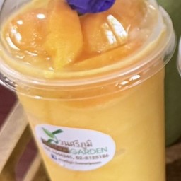 มะยงชิดปั่น