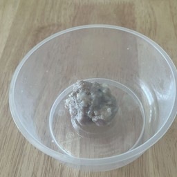 ลูกชิ้นแคะ นายแม้ว 1