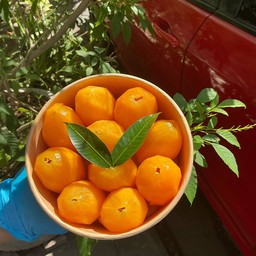 มะยงชิดนครนายก