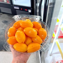 บ้านผลไม้พนัส