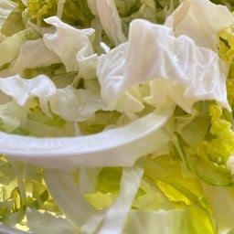 กะหล่ำปลี