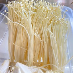 เห็ดเข็มทอง