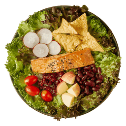 สลัดแซลมอนย่าง