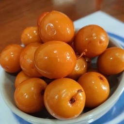 พุดทราดอง