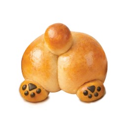 Shiba Inu (Back) Chocolate custard