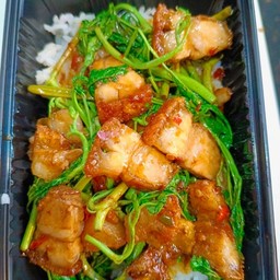 กระเฉดหมูกรอบ(ราดข้าว)