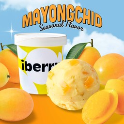 ไอศกรีมมะยงชิด (Pint)