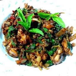 รสอาหารป่า ข้าวแกงป่า ต้มเนื้อ