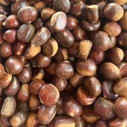 เกาลัดญี่ปุ่นคั่ว หน้าหมู่บ้านสีวลี