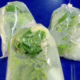 ผักสด