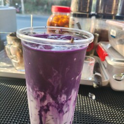 เผือกนมเหนียว