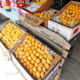 มะยงชิดลอยแก้ว