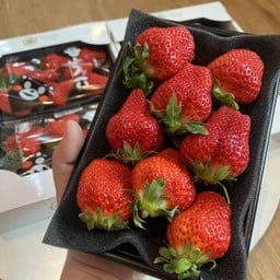 สตรอว์เบอร์รี่ คุมะญี่ปุ่น 1 แพ็ค