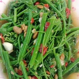 ยอดมะระน้ำมันหอย(ยอดแม้ว)