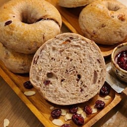 Cranberry Bagel SD