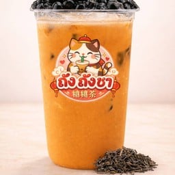 ชาไทยใต้