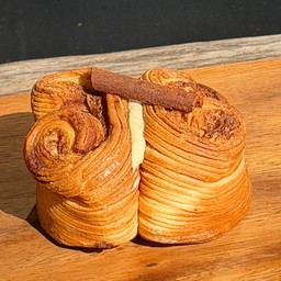 Cinnamon Butterfly.