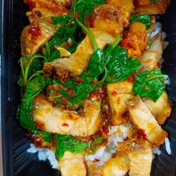 กระเพราหมูกรอบ (ราดข้าว)