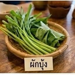 ผักบุ้ง