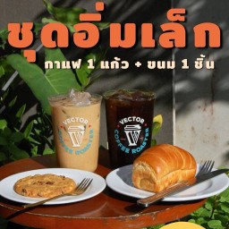 VECTOR แฟคตอรี่