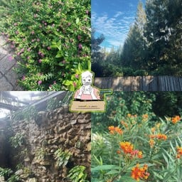 The X10 Private Pool Villa