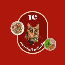 IC  หมี่คลุกไก่ฉีก สปาเก็ตตี้  CJ 102