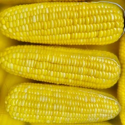 ข้าวโพดหวานต้ม 2 ฝัก