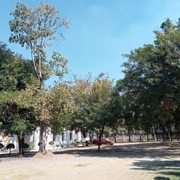 วัดตำหนักใต้