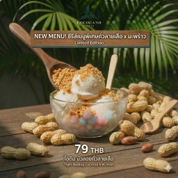 ไอติมบัวลอย ถั่วลายเสือ