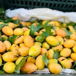 ผลไม้ มังคุด มะยงชิด แตงโม มะละกอ กะหล่ำปลี มะขามเทศ สับปะรด แก้งมังกร เงาะ ฝรั่ง ลำไย ผัก ทุเรียนหมอนทองเสี่ยนิว