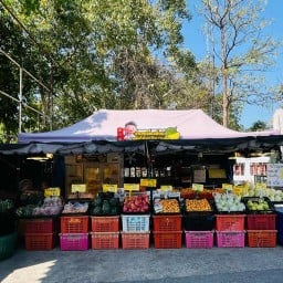 ผลไม้ตามฤดูกาล  มังคุด ผลไม้ปั่น ผลไม้หั่น ผลไม้สด เงาะ ลำไย สับปะรด แก้วมัวกร มะยงชิด แตงโม ทุเรียนแกะ (คุณภาพคัดพิเศษ) ข้าวเหนียวทุเรียน ทุเรียนทอด ทุเรียนหมอนทอง ทุเรียนใต้ ทุเรียนจันทบุรี ทุเรียนกวน -