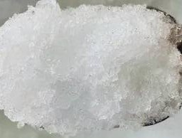 กุ้งเจริญกิจ กุ้ง เจริญกิจ ตลาดสิริทรัพย์ รังสิต