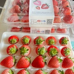 Lucky.my เบเกอรี่ ผลไม้ตามฤดูกาล - เลียบคลองภาษีเจริญฝั่งใต้