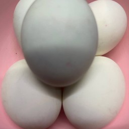 ไข่เค็ม