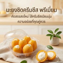 มะยงชิดครีมชีส พรีเมี่ยม เชียงใหม่