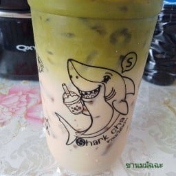 Shark Cha ท่าสะอ้าน ฉะเชิงเทรา