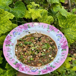 ส้มตำลาบก้อย