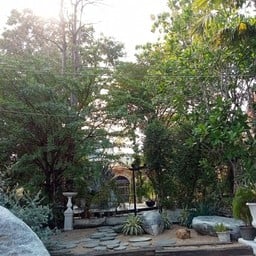 วัดโพธิ์เผือก