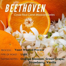 Beethoven