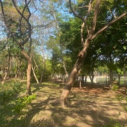 อุทยานมกุฏรมยสราญ