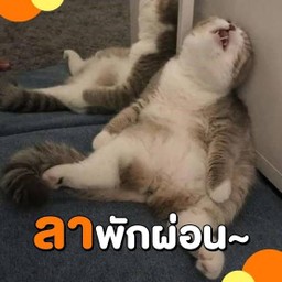 ลาหยุด1เดือนนะคะ