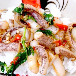 กะเพรา หนวดหมึกราดข้าวร้อนๆ อร่อยมาก