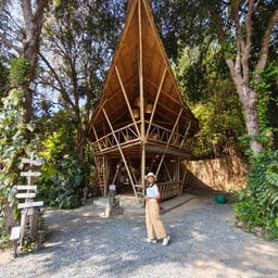 นกค้างคืน glamping