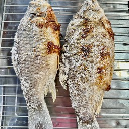 ปลาตะเพียนไข่ ตัวใหญ่