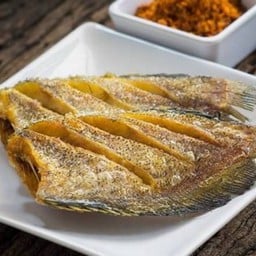 MENU_3690379GT_1773127424