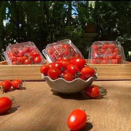 TOMATO