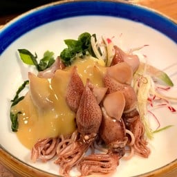 Hoataru Ika sumiso
